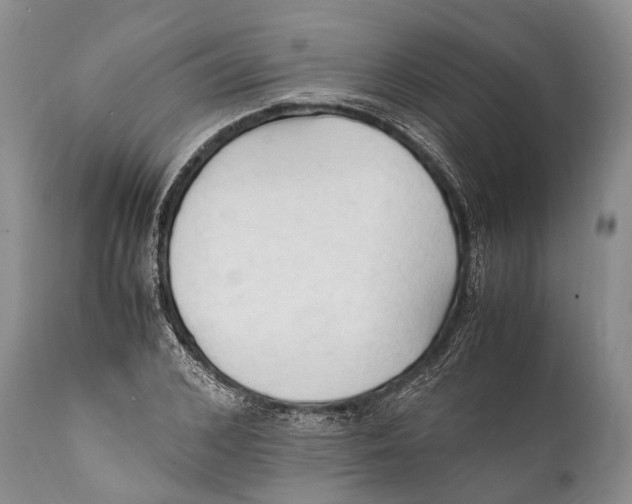 X0000111950976200908241200