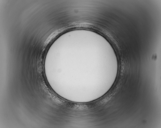 X0000111950978200908241200