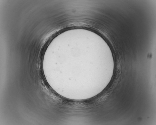 X0000111950979200908241200