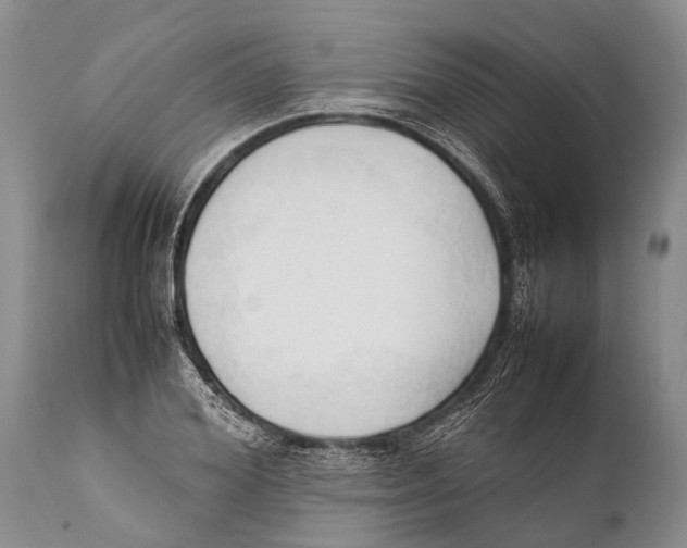 X0000111950980200908241200