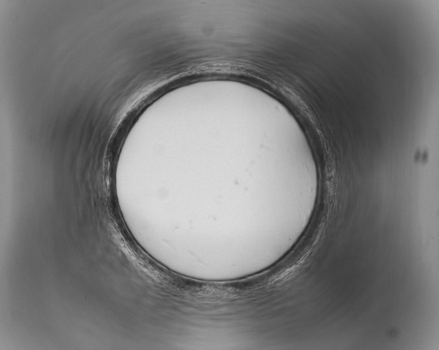 X0000111950981200908241200