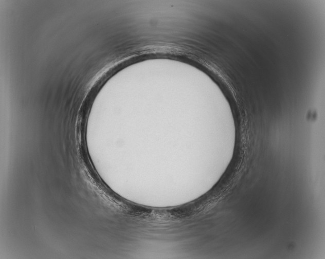 X0000111950983200908241200