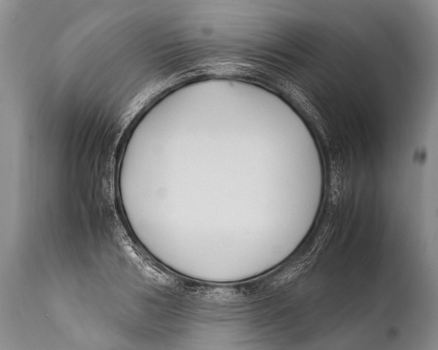 X0000111950986200908241200
