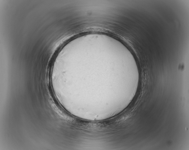 X0000111950987200908241200