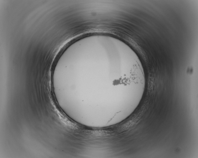 X0000111950988200908241200