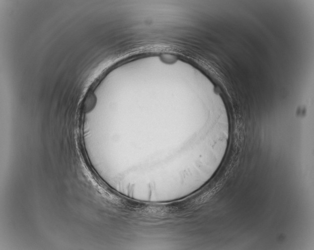 X0000111950989200908241200