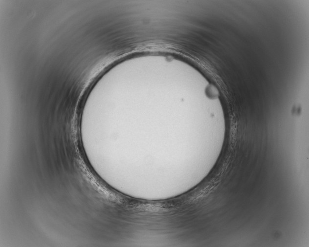 X0000111950990200908241200