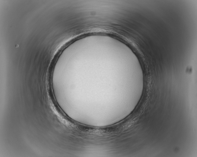 X0000111950991200908241200