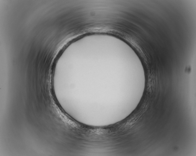 X0000111950992200908241200
