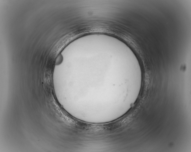 X0000111950993200908241200