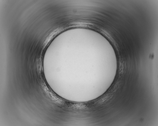 X0000111950994200908241200
