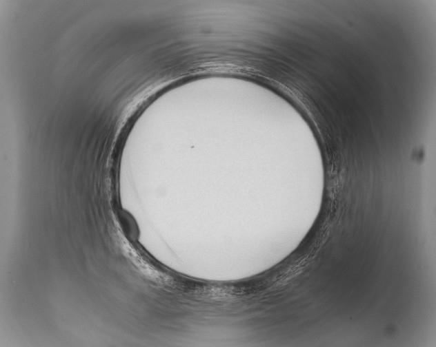 X0000111950995200908241200