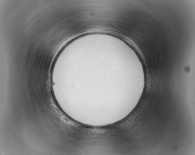 X0000111950996200908241200