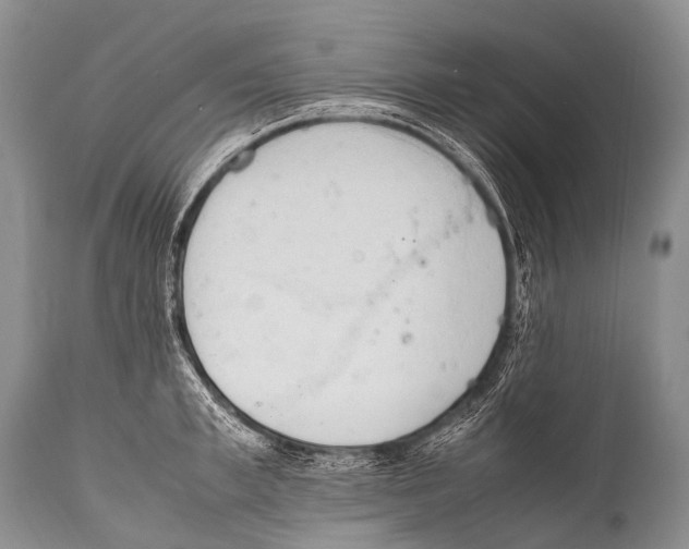 X0000111950997200908241200