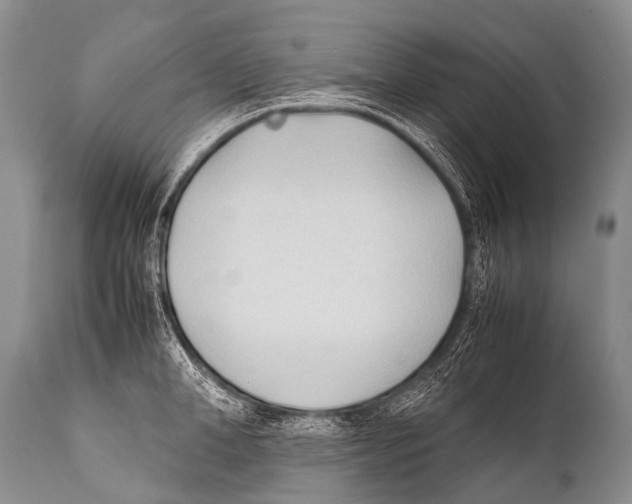 X0000111950998200908241200