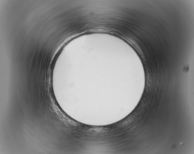 X0000111951000200908241200