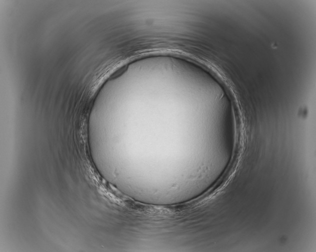 X0000111951001200908241200