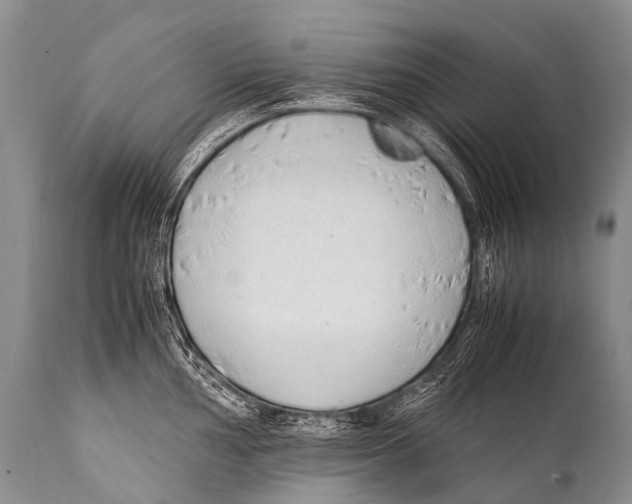 X0000111951002200908241200
