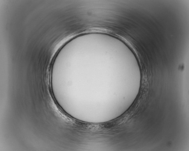 X0000111951003200908241200
