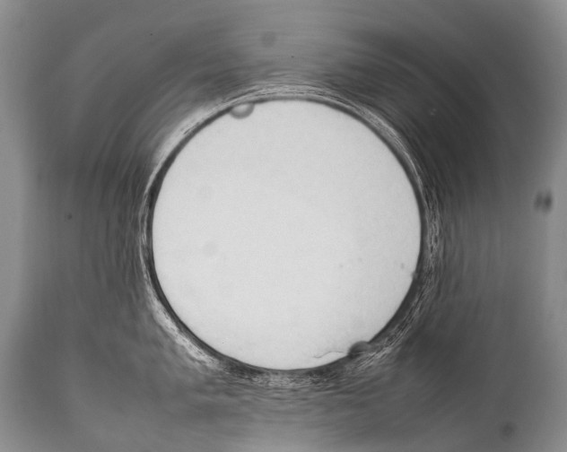 X0000111951005200908241200