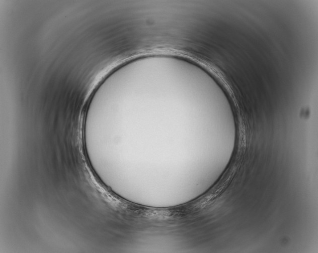X0000111951006200908241200