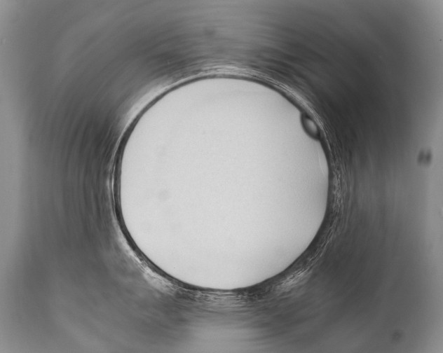 X0000111951007200908241200