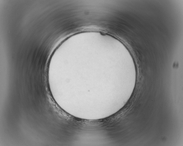 X0000111951008200908241200