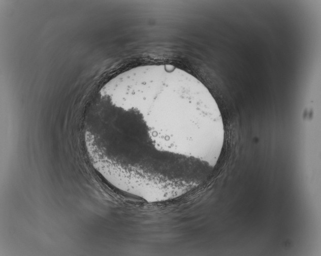 X0000111951009200908241159