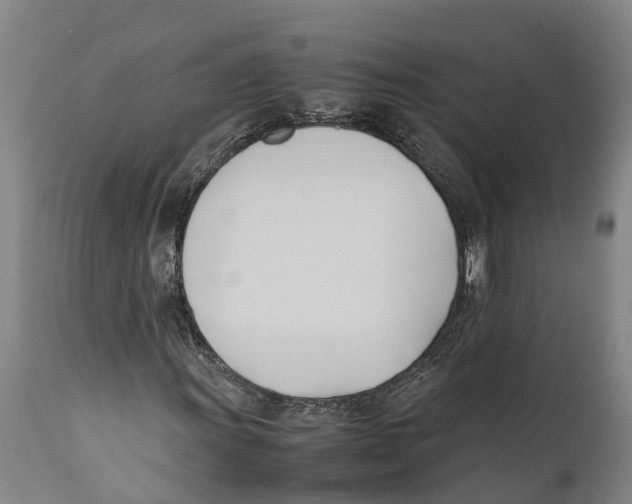 X0000111951011200908241159