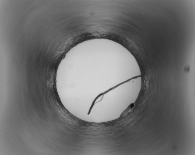 X0000111951012200908241159