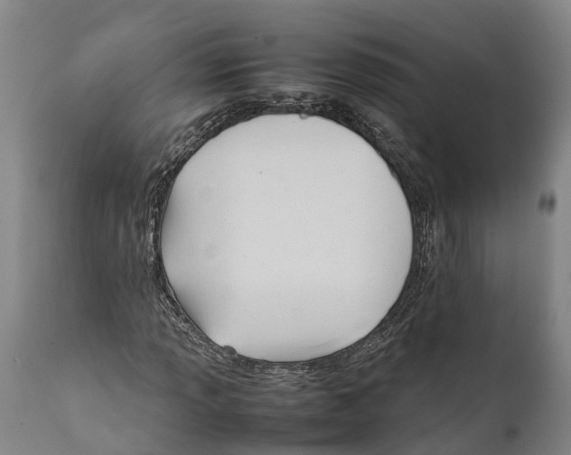 X0000111951013200908241159