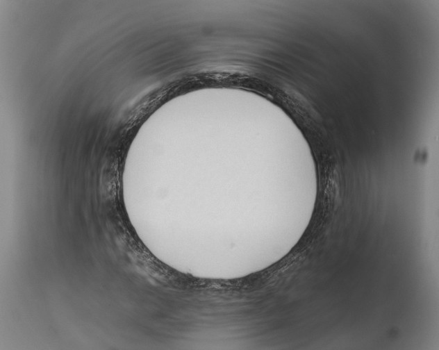X0000111951014200908241159