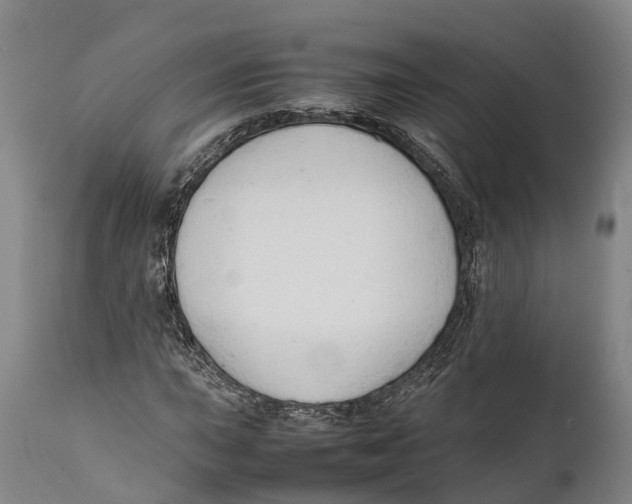 X0000111951015200908241159