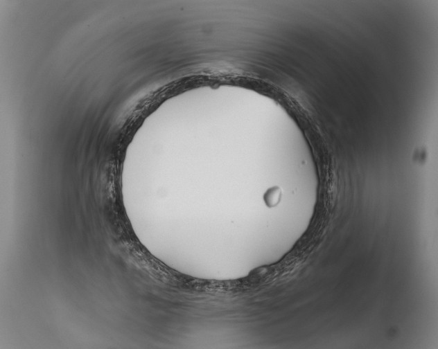 X0000111951016200908241159
