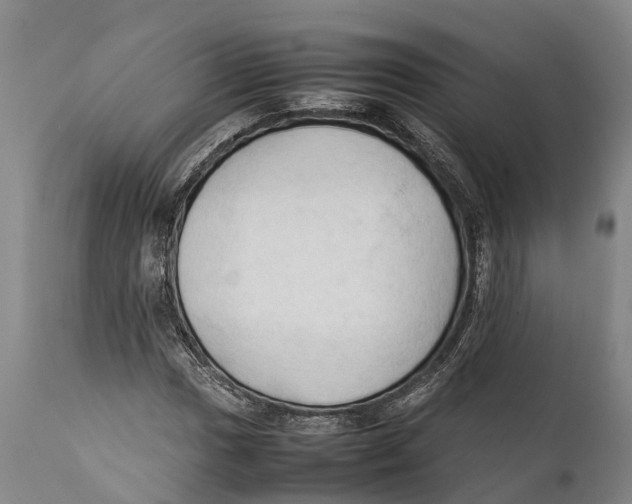 X0000111951017200908241159