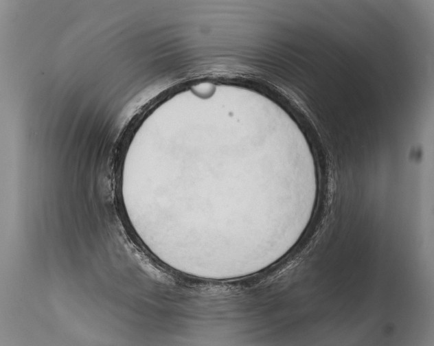 X0000111951018200908241159