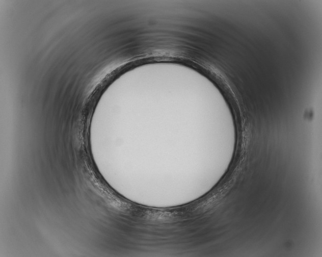 X0000111951019200908241159