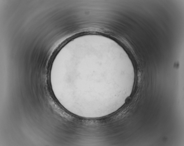 X0000111951020200908241159
