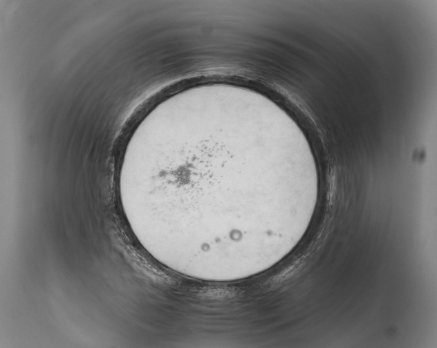 X0000111951021200908241159