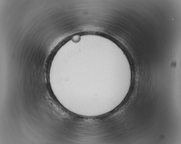 X0000111951022200908241159