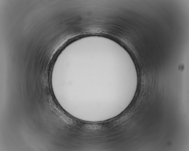X0000111951023200908241159