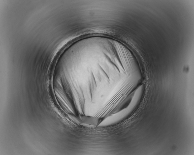 X0000111951024200908241159