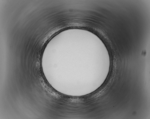 X0000111951025200908241159