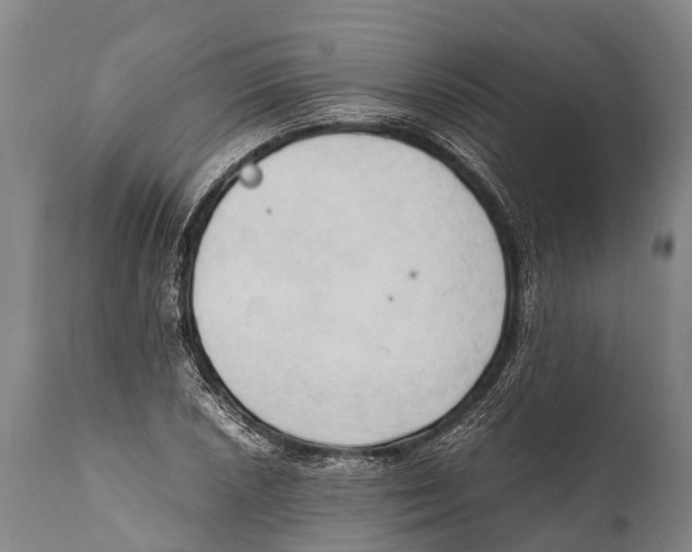X0000111951026200908241159