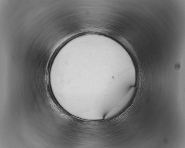 X0000111951028200908241159