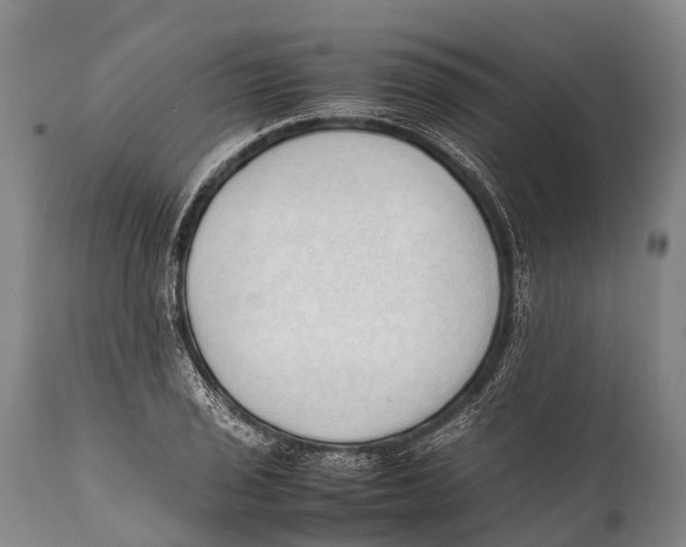 X0000111951029200908241159
