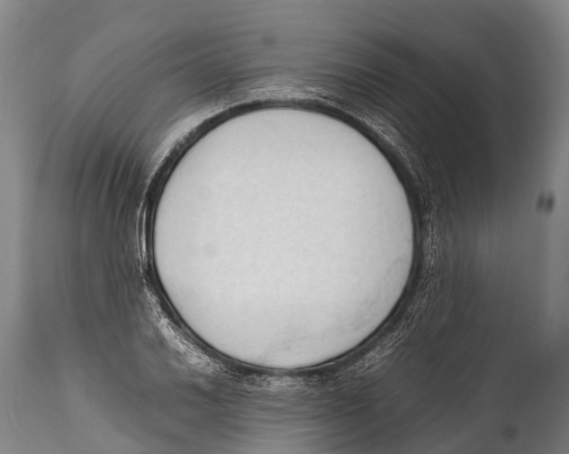 X0000111951030200908241159