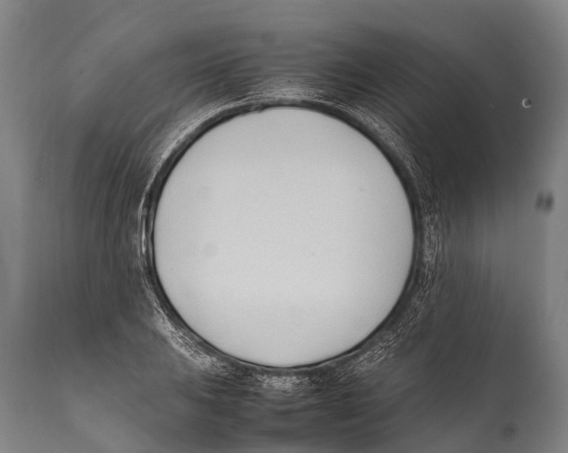 X0000111951031200908241159