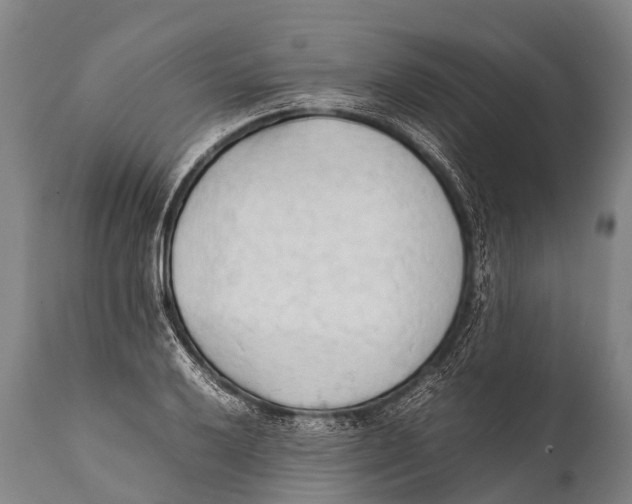 X0000111951032200908241159