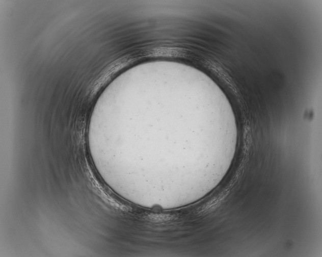 X0000111951033200908241159